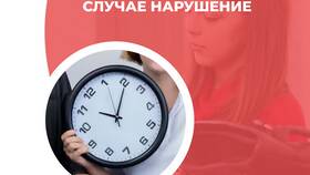 Чем грозит несвоевременная выплата отпускных в Ральф Рингер