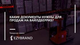 Что нужно чтобы стать продавцом на Wildberries в Ральф Рингер