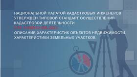 Что такое национальное имущество в Ральф Рингер