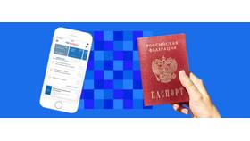 Что такое официальный паспорт в Ральф Рингер