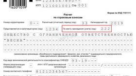 Что такое оплата страхового взноса в Ральф Рингер
