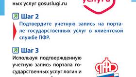 Что такое отделение ПФР в Ральф Рингер