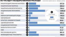 Что входит в расходы государственного бюджета в Ральф Рингер