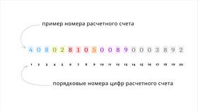 Для чего открывают расчетный счет ИП в Ральф Рингер