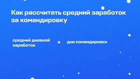 Как начисляется заработная плата в период командировки в Ральф Рингер