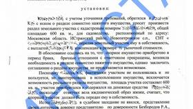Как оформить развод с разделом имущества в Ральф Рингер