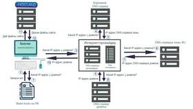 Как оплатить подарочной картой DNS на сайте в Ральф Рингер