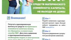 Как подать документы в Пенсионный фонд в Ральф Рингер