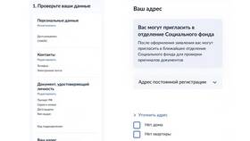 Как подать заявление на пенсию через Госуслуги в Ральф Рингер