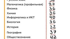 Как посмотреть экзамены на Госуслугах в Ральф Рингер