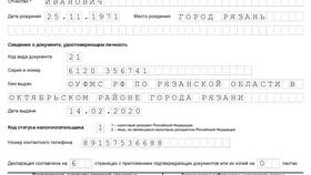 Как правильно составить налоговую декларацию в Ральф Рингер