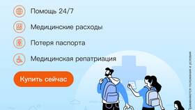 Как проверить статус визовой заявки в Ральф Рингер