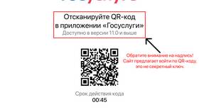 Как создать надежный пароль для Госуслуг в Ральф Рингер