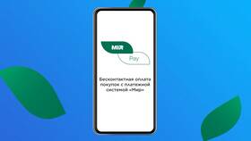 Как установить Мир Пэй основным платежным приложением в Ральф Рингер