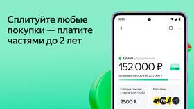 Как узнать реквизиты Яндекс Пэй в Ральф Рингер