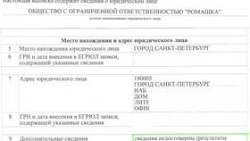 Как внести изменения в ЕГРН организации в Ральф Рингер