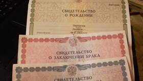 Как восстановить свидетельство о рождении через МФЦ в Ральф Рингер