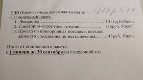 Как выглядит выписка Пенсионного фонда в Ральф Рингер