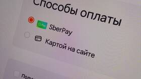Как заказать пиццу в Додо с оплатой наличными в Ральф Рингер
