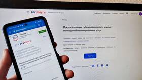 Как заказать справку о заработной плате через Госуслуги в Ральф Рингер