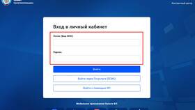 Неправильно заполнила декларацию: что делать в Ральф Рингер