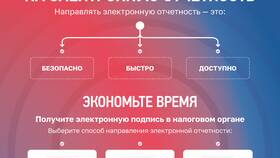 Ошибки при отправке налоговой декларации: причины и решения в Ральф Рингер