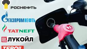 Почему сгорают бонусы Татнефть: правила программы лояльности в Ральф Рингер