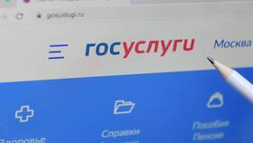 Подал заявление на Госуслугах: что дальше в Ральф Рингер