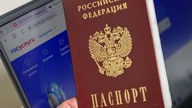 Сколько идет проверка паспорта на Госуслугах в Ральф Рингер