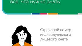 Страховой номер индивидуального лицевого счета (СНИЛС): что это? в Ральф Рингер