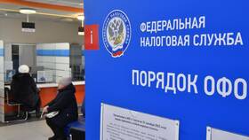 Возврат налогов из бюджета: что это в Ральф Рингер